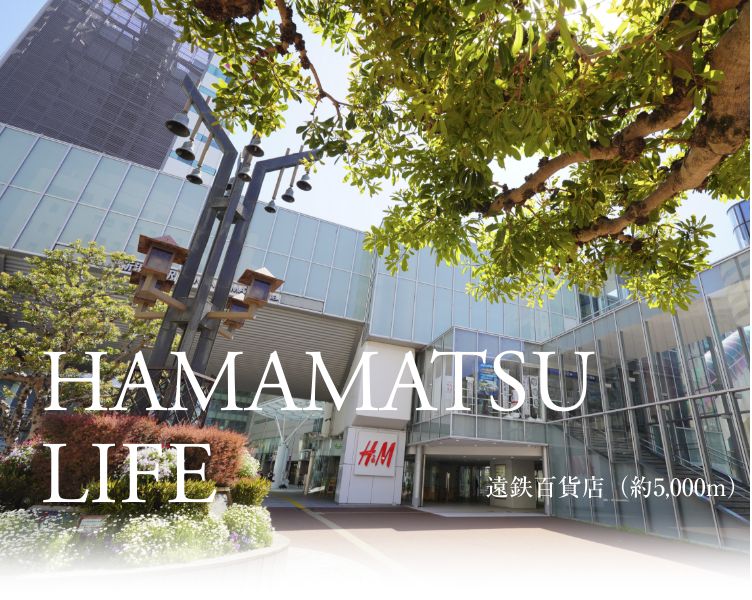 HAMAMATSU LIFE