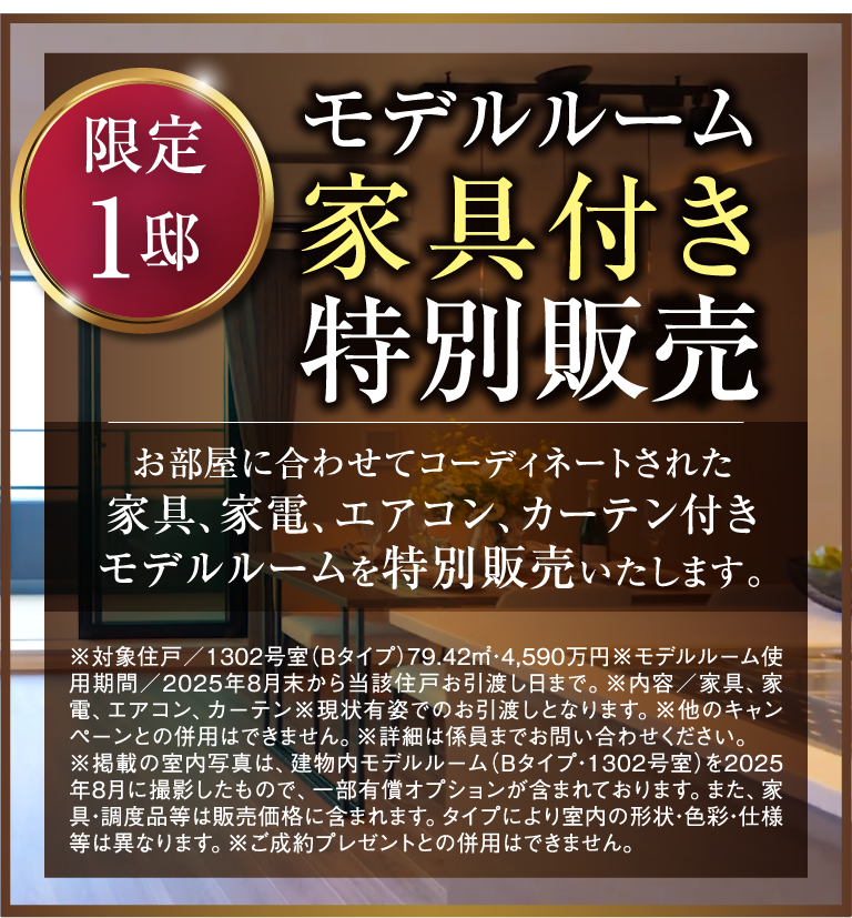 [限定1邸]モデルルーム家具付き特別販売