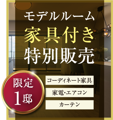 【限定1邸】モデルルーム家具付き特別販売