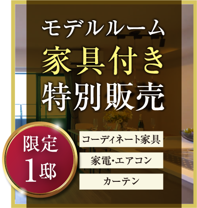 [限定1邸]モデルルーム家具付き特別販売