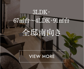 全邸南向き